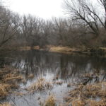 Canoe Launch Area