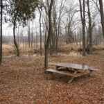 Observation Table